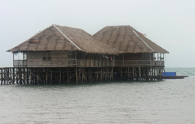 feb_17_1260_kalong.jpg