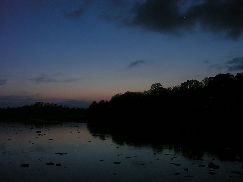 feb_17_1331_evening.jpg
