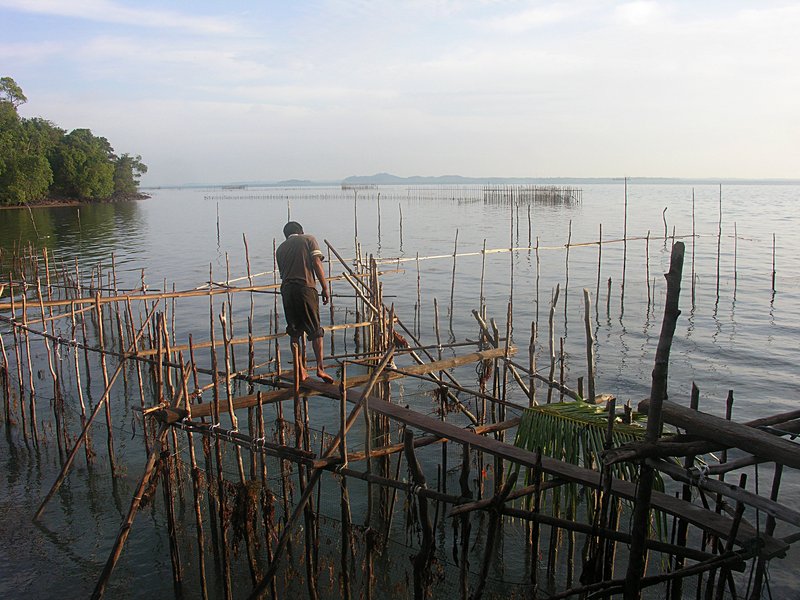 feb_20_1600_checking_fish_nets.jpg