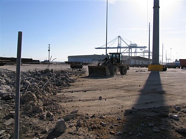 jan_12_sparky_161_cleanup.jpg
