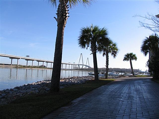 jan_12_sparky_177_seabreeze.jpg